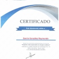 Ampliar imagen: certificate 7