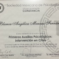 Ampliar imagen: certificate 20