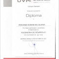 Ampliar imagen: certificate 3