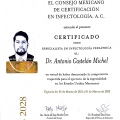 Ampliar imagen: certificate 5