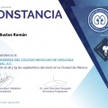 Ampliar imagen: certificate 19