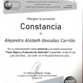 Ampliar imagen: certificate 17