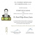 Ampliar imagen: certificate 1
