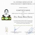 Ampliar imagen: certificate 5