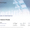 Ampliar imagen: certificate 7