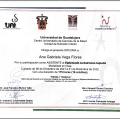 Ampliar imagen: certificate 4