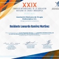Ampliar imagen: certificate 10