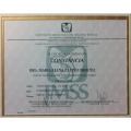 Ampliar imagen: certificate 5