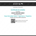 Ampliar imagen: certificate 5