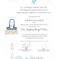 Ampliar imagen: certificate 4