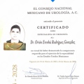 Ampliar imagen: certificate 5