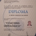 Ampliar imagen: certificate 16