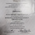 Ampliar imagen: certificate 4