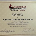 Ampliar imagen: certificate 3