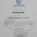 Ampliar imagen: certificate 4