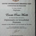 Ampliar imagen: certificate 10