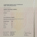 Ampliar imagen: certificate 3