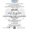 Ampliar imagen: certificate 9
