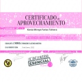 Ampliar imagen: certificate 7