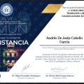 Ampliar imagen: certificate 3