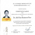 Ampliar imagen: certificate 2