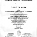 Ampliar imagen: certificate 11