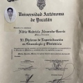 Ampliar imagen: certificate 3