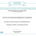 Ampliar imagen: certificate 5