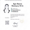 Ampliar imagen: certificate 3