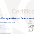 Ampliar imagen: certificate 8