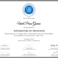 Ampliar imagen: certificate 11