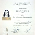 Ampliar imagen: certificate 2
