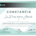 Ampliar imagen: certificate 9