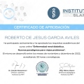 Ampliar imagen: certificate 15