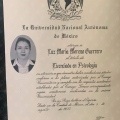 Ampliar imagen: certificate 2