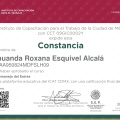 Ampliar imagen: certificate 3