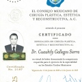 Ampliar imagen: certificate 1