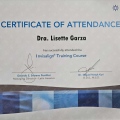 Ampliar imagen: certificate 5