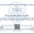 Ampliar imagen: certificate 4