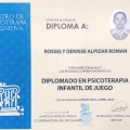 Ampliar imagen: certificate 1