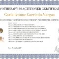 Ampliar imagen: certificate 1