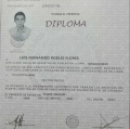 Ampliar imagen: certificate 4