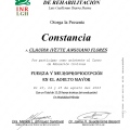Ampliar imagen: certificate 6