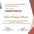 Ampliar imagen: certificate 2