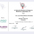 Ampliar imagen: certificate 2