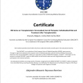 Ampliar imagen: certificate 3