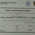 Ampliar imagen: certificate 6