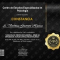 Ampliar imagen: certificate 13