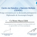 Ampliar imagen: certificate 3