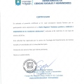Ampliar imagen: certificate 5